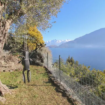 Ulivolimone * Pianello Del Lario